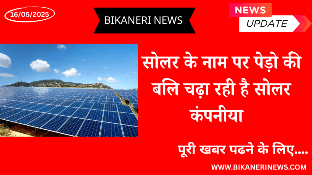 solar panel news